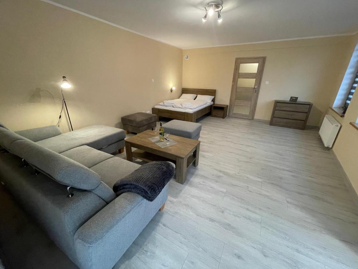 Apartamenty Alicja Дзержонюв Экстерьер фото