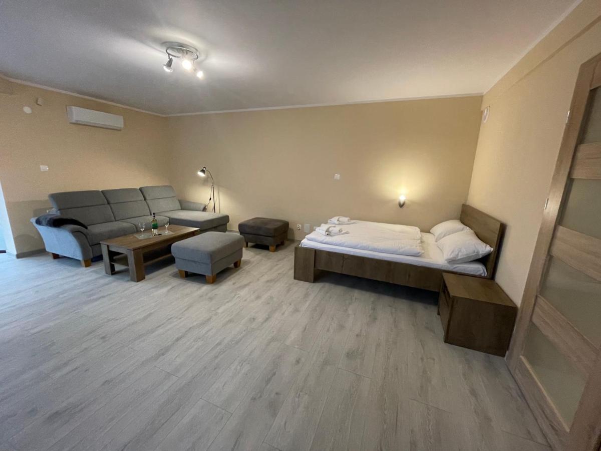 Apartamenty Alicja Дзержонюв Экстерьер фото