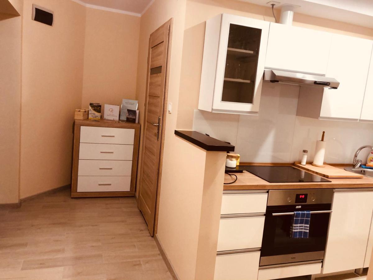 Apartamenty Alicja Дзержонюв Экстерьер фото